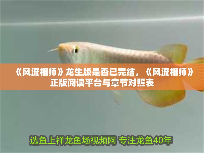 《風流相師》龍生版是否已完結，《風流相師》正版閱讀平臺與章節對照表