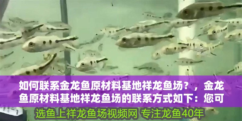 如何聯系金龍魚原材料基地祥龍魚場？，金龍魚原材料基地祥龍魚場的聯系方式如下：您可以通過撥打