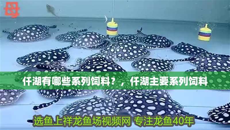 仟湖有哪些系列飼料？，仟湖主要系列飼料 仟湖有哪些系列飼料？，仟湖主要系列飼料 龍魚百科