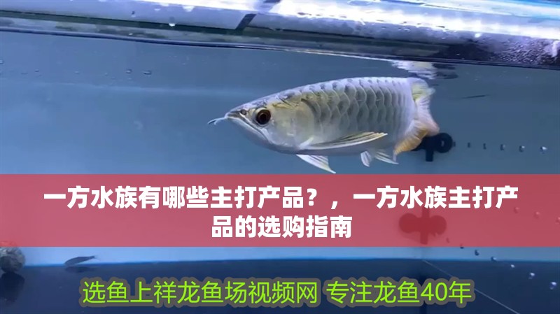 一方水族有哪些主打產(chǎn)品？，一方水族主打產(chǎn)品的選購指南