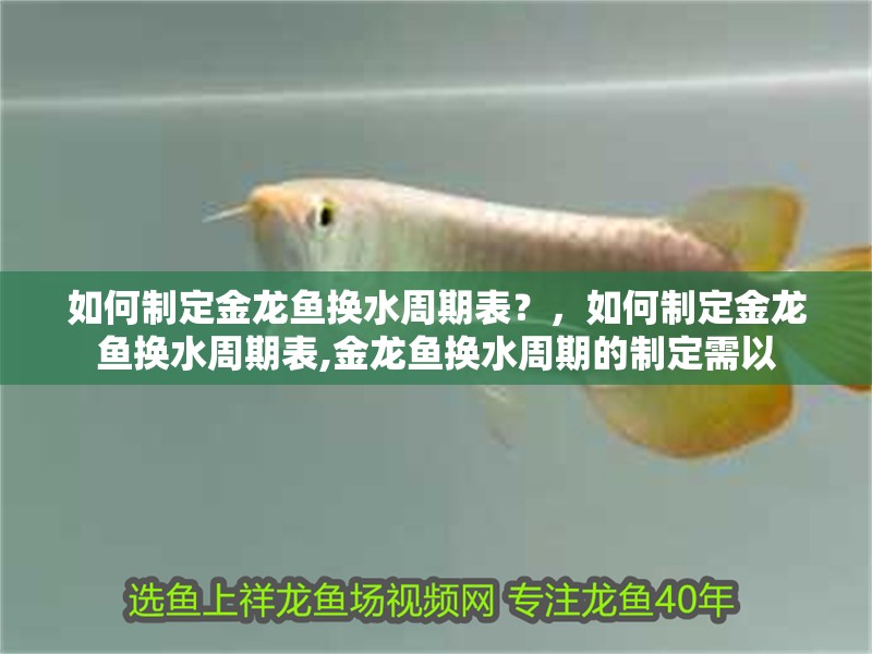 如何制定金龍魚換水周期表？，如何制定金龍魚換水周期表,金龍魚換水周期的制定需以