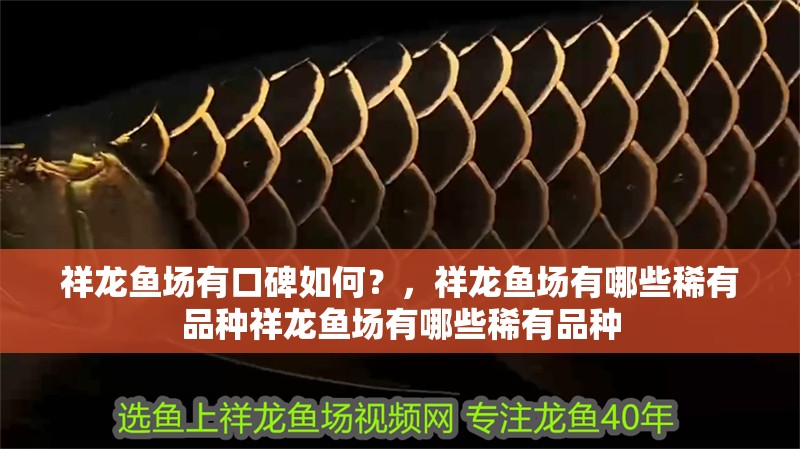 龍魚干蝦有營(yíng)養(yǎng)嗎 祥龍魚場(chǎng)有口碑如何?,祥龍魚場(chǎng)有哪些稀有品種祥龍魚場(chǎng)有哪些稀有品種 龍魚百科 祥龍魚場(chǎng)有口碑如何?,祥龍魚場(chǎng)有哪些稀有品種祥龍魚場(chǎng)有哪些稀有品種 祥龍魚場(chǎng)有口碑如何?,祥龍魚場(chǎng)有哪些稀有品種祥龍魚場(chǎng)有哪些稀有品種 龍魚百科