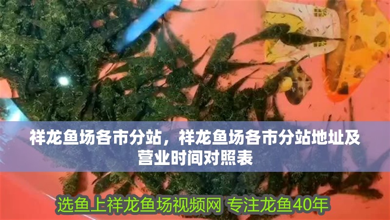 魚缸用增氧泵價格是多少:魚缸增氧機-xtrac增氧機-xtrac增氧機 祥龍魚場各市分站,祥龍魚場各市分站地址及營業時間對照表 龍魚百科 祥龍魚場各市分站,祥龍魚場各市分站地址及營業時間對照表 祥龍魚場各市分站,祥龍魚場各市分站地址及營業時間對照表 龍魚百科