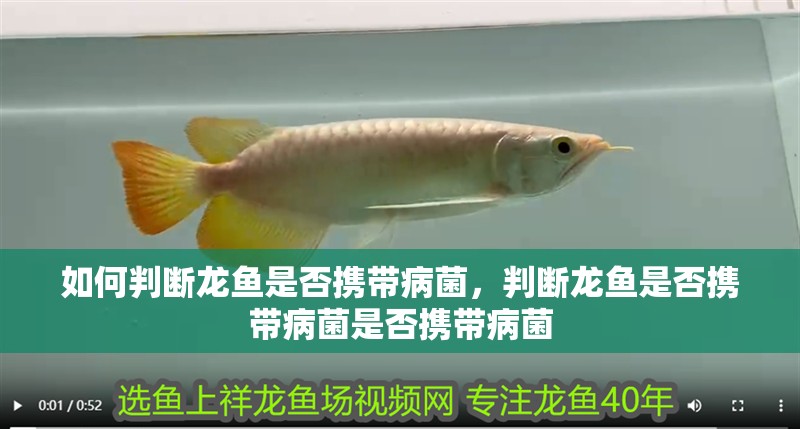 如何判斷龍魚是否攜帶病菌，判斷龍魚是否攜帶病菌是否攜帶病菌