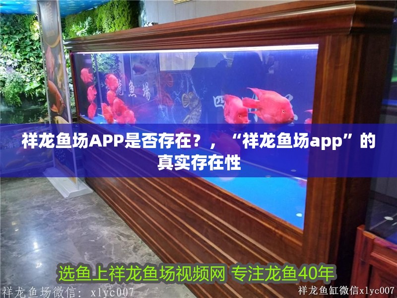 祥龍魚場(chǎng)APP是否存在？，“祥龍魚場(chǎng)app”的真實(shí)存在性 祥龍魚場(chǎng)APP是否存在？，“祥龍魚場(chǎng)app”的真實(shí)存在性 龍魚百科