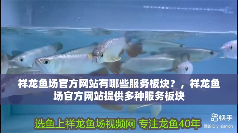 祥龍魚場官方網站有哪些服務板塊？，祥龍魚場官方網站提供多種服務板塊