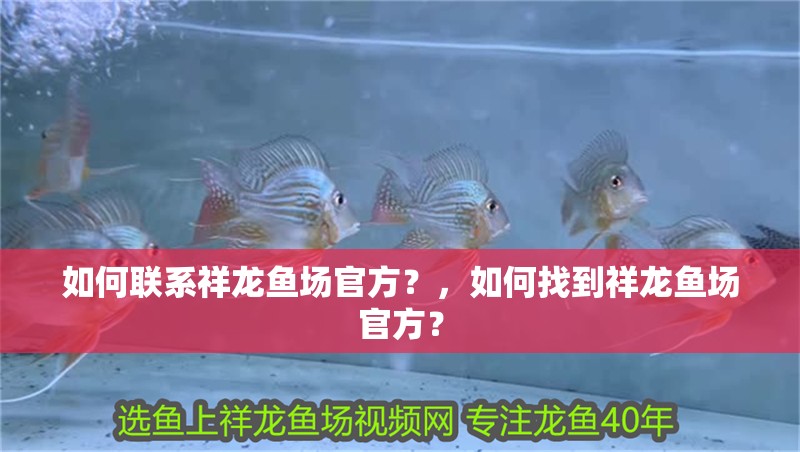 如何聯系祥龍魚場官方？，如何找到祥龍魚場官方？