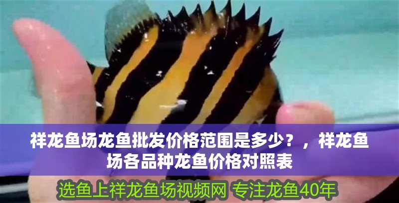 魚缸用增氧泵價(jià)格是多少:魚缸增氧機(jī)-xtrac增氧機(jī)-xtrac增氧機(jī) 祥龍魚場龍魚批發(fā)價(jià)格范圍是多少?,祥龍魚場各品種龍魚價(jià)格對照表 龍魚百科 祥龍魚場龍魚批發(fā)價(jià)格范圍是多少?,祥龍魚場各品種龍魚價(jià)格對照表 祥龍魚場龍魚批發(fā)價(jià)格范圍是多少?,祥龍魚場各品種龍魚價(jià)格對照表 龍魚百科