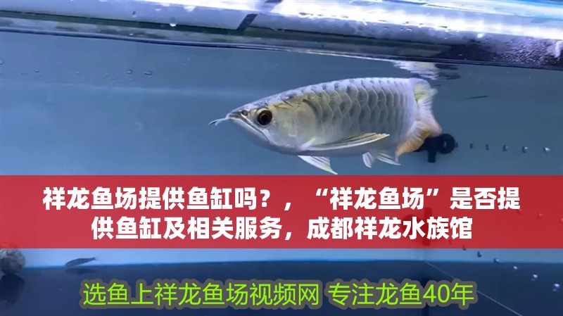 祥龍魚場提供魚缸嗎？，“祥龍魚場”是否提供魚缸及相關(guān)服務(wù)，成都祥龍水族館