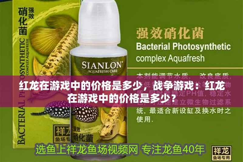 紅龍在游戲中的價格是多少，戰爭游戲：紅龍在游戲中的價格是多少？