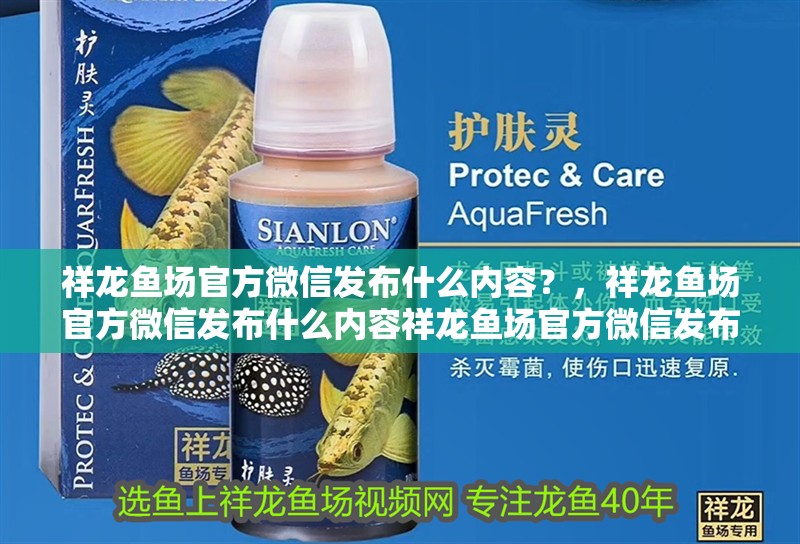 魚缸用增氧泵價格是多少:魚缸增氧機-xtrac增氧機-xtrac增氧機 祥龍魚場官方微信發(fā)布什么內(nèi)容?,祥龍魚場官方微信發(fā)布什么內(nèi)容祥龍魚場官方微信發(fā)布什么內(nèi)容 龍魚百科 祥龍魚場官方微信發(fā)布什么內(nèi)容?,祥龍魚場官方微信發(fā)布什么內(nèi)容祥龍魚場官方微信發(fā)布什么內(nèi)容 祥龍魚場官方微信發(fā)布什么內(nèi)容?,祥龍魚場官方微信發(fā)布什么內(nèi)容祥龍魚場官方微信發(fā)布什么內(nèi)容 龍魚百科