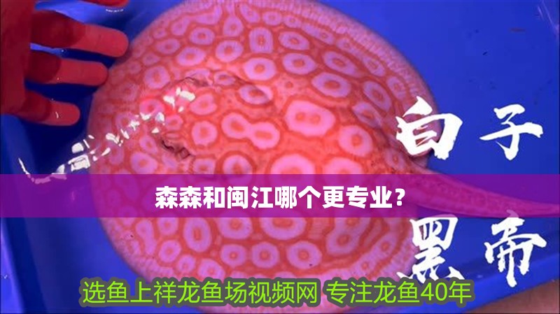 森森和閩江哪個(gè)更專業(yè)？ 森森和閩江哪個(gè)更專業(yè)？ 龍魚百科