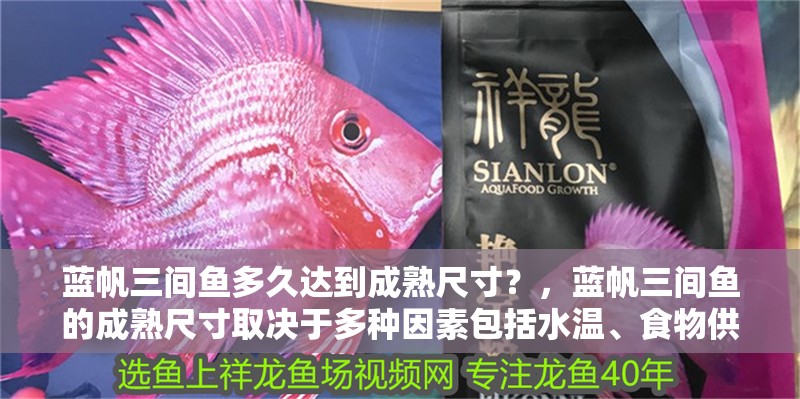 藍帆三間魚多久達到成熟尺寸？，藍帆三間魚的成熟尺寸取決于多種因素包括水溫、食物供應以及個體差異