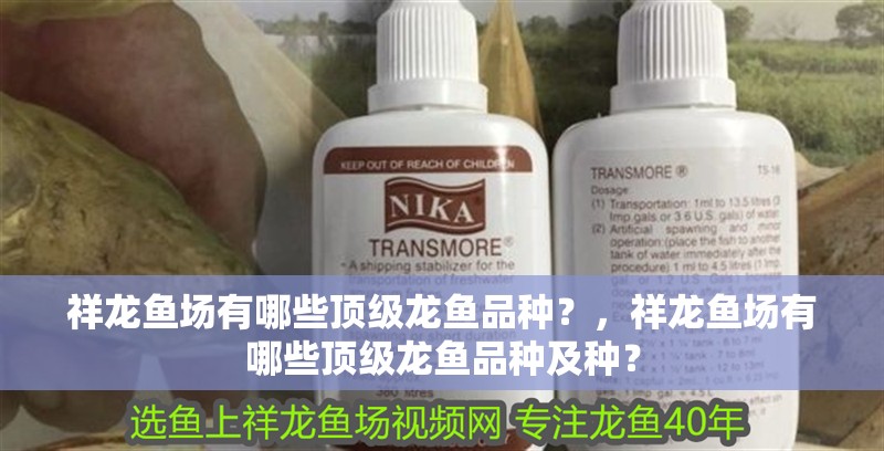 祥龍魚場有哪些頂級龍魚品種？，祥龍魚場有哪些頂級龍魚品種及種？