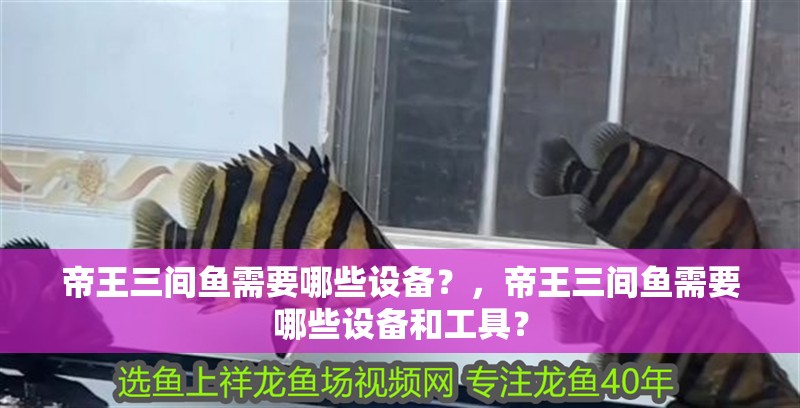 帝王三間魚需要哪些設備？，帝王三間魚需要哪些設備和工具？ 帝王三間魚需要哪些設備？，帝王三間魚需要哪些設備和工具？ 龍魚百科