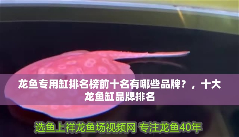 龍魚專用缸排名榜前十名有哪些品牌？，十大龍魚缸品牌排名 龍魚專用缸排名榜前十名有哪些品牌？，十大龍魚缸品牌排名 龍魚百科