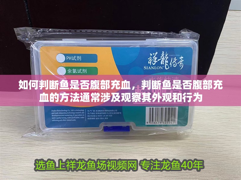 如何判斷魚是否腹部充血，判斷魚是否腹部充血的方法通常涉及觀察其外觀和行為