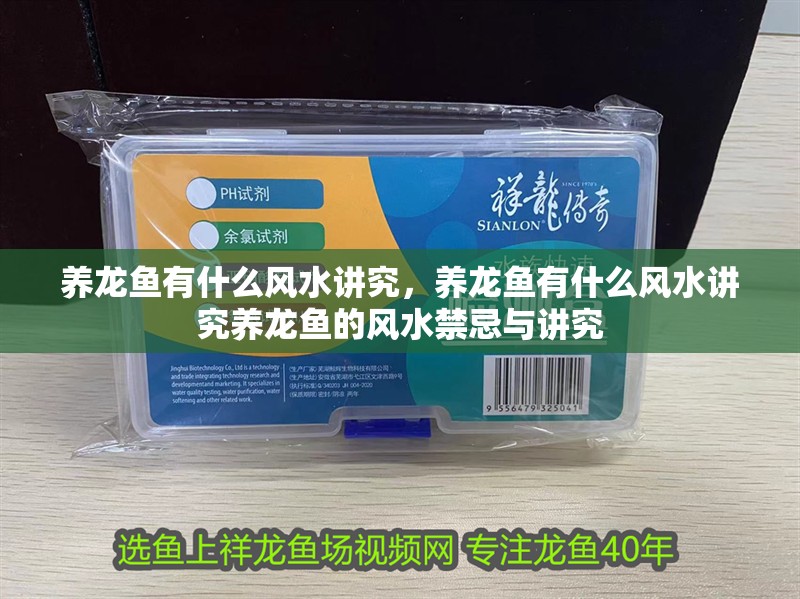 養龍魚有什么風水講究，養龍魚有什么風水講究養龍魚的風水禁忌與講究 養龍魚有什么風水講究，養龍魚有什么風水講究養龍魚的風水禁忌與講究 龍魚百科