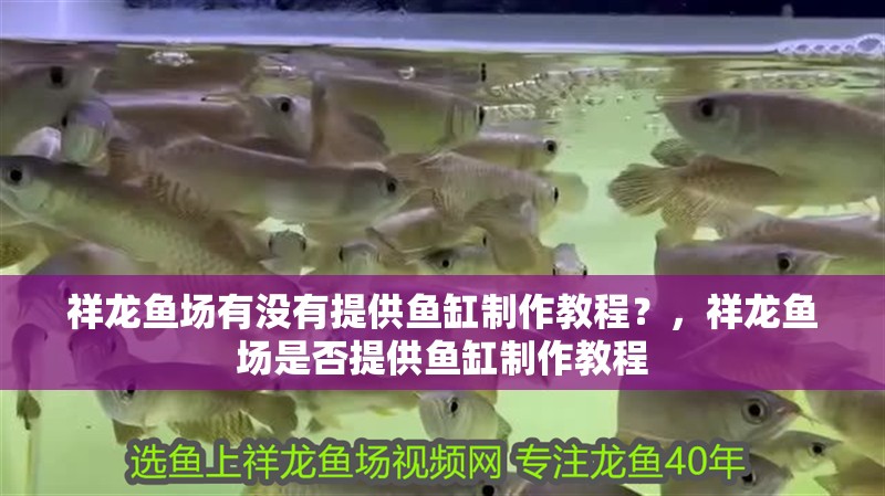 祥龍魚場有沒有提供魚缸制作教程？，祥龍魚場是否提供魚缸制作教程