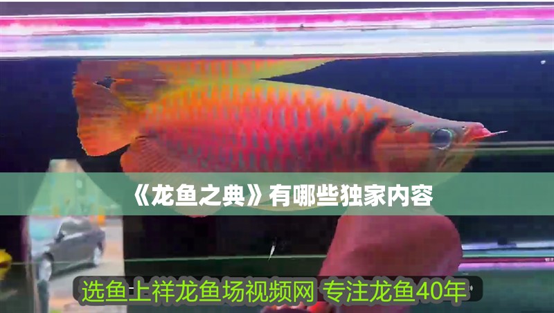 《龍魚之典》有哪些獨家內容