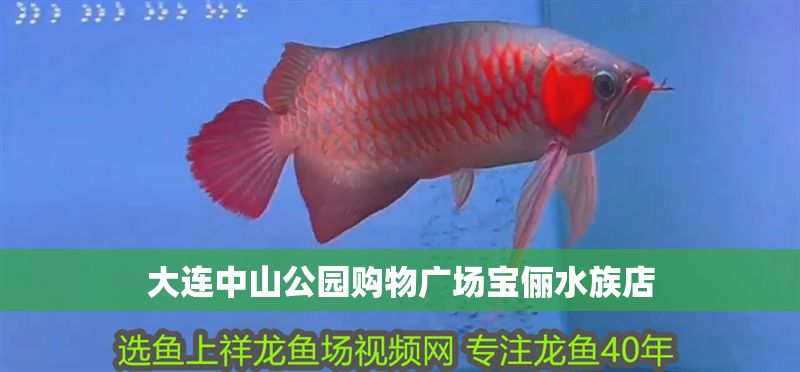 大連中山公園購物廣場寶儷水族店