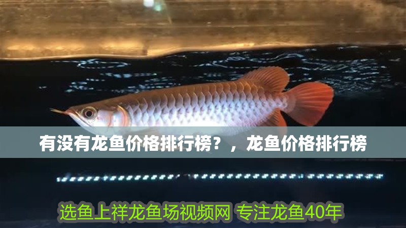 有沒有龍魚價格排行榜？，龍魚價格排行榜
