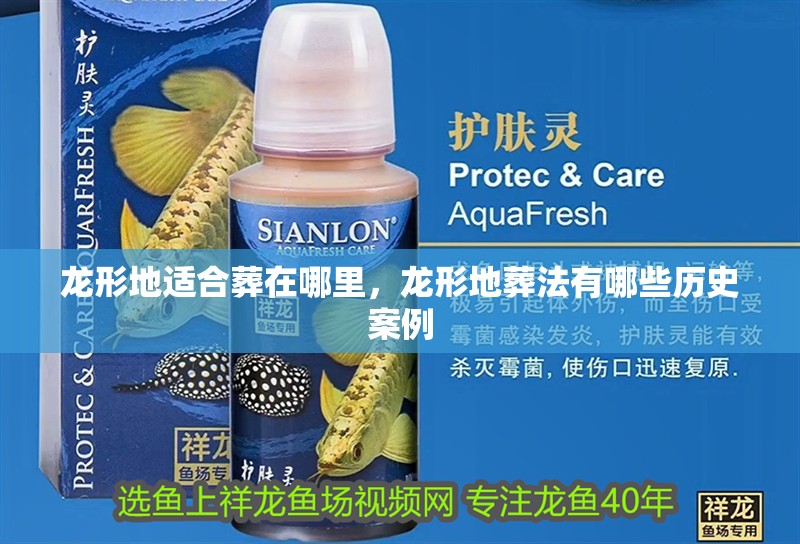 龍形地適合葬在哪里，龍形地葬法有哪些歷史案例 龍形地適合葬在哪里，龍形地葬法有哪些歷史案例 龍魚百科