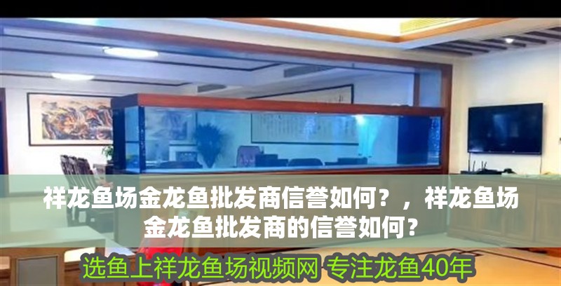 祥龍魚場金龍魚批發(fā)商信譽(yù)如何？，祥龍魚場金龍魚批發(fā)商的信譽(yù)如何？