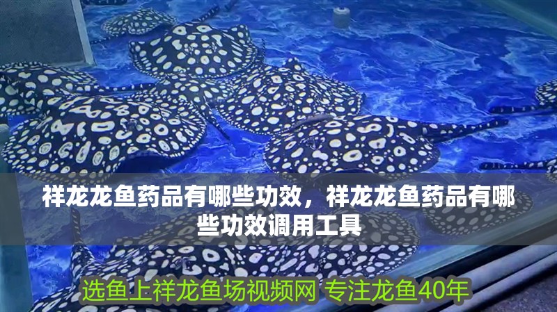祥龍龍魚(yú)藥品有哪些功效，祥龍龍魚(yú)藥品有哪些功效調(diào)用工具