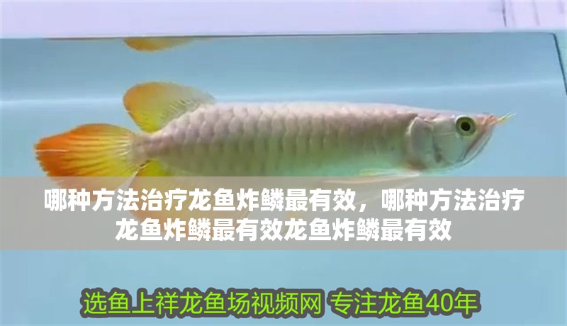 哪種方法治療龍魚炸鱗最有效，哪種方法治療龍魚炸鱗最有效龍魚炸鱗最有效