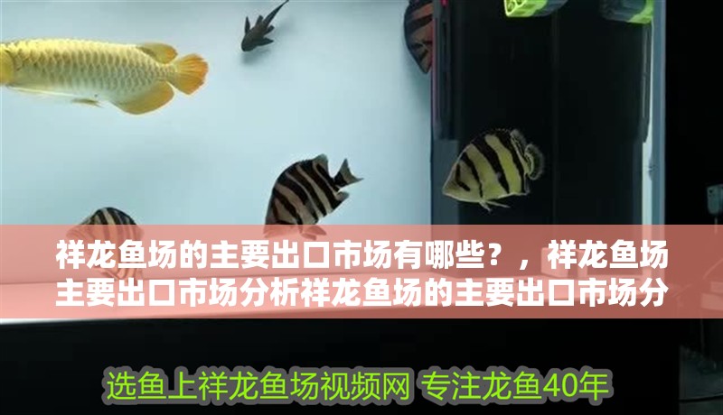 祥龍魚場的主要出口市場有哪些？，祥龍魚場主要出口市場分析祥龍魚場的主要出口市場分析