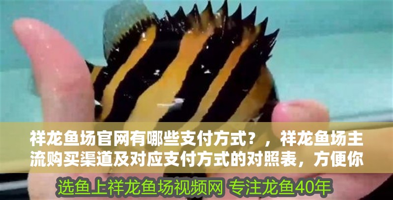 祥龍魚場官網(wǎng)有哪些支付方式？，祥龍魚場主流購買渠道及對應(yīng)支付方式的對照表，方便你快速比對選擇 祥龍魚場官網(wǎng)有哪些支付方式？，祥龍魚場主流購買渠道及對應(yīng)支付方式的對照表，方便你快速比對選擇 龍魚百科