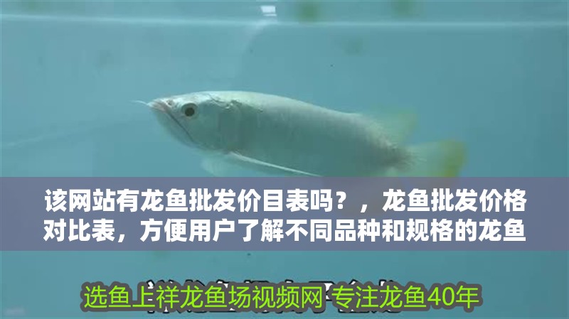 該網站有龍魚批發價目表嗎？，龍魚批發價格對比表，方便用戶了解不同品種和規格的龍魚價格