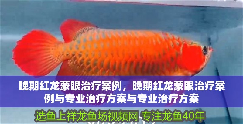 晚期紅龍蒙眼治療案例，晚期紅龍蒙眼治療案例與專業治療方案與專業治療方案