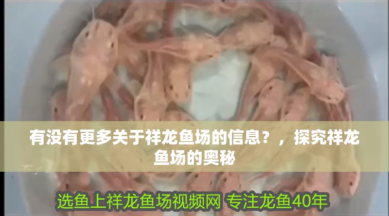 有沒(méi)有更多關(guān)于祥龍魚(yú)場(chǎng)的信息？，探究祥龍魚(yú)場(chǎng)的奧秘