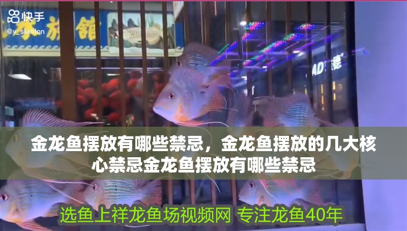 金龍魚擺放有哪些禁忌，金龍魚擺放的幾大核心禁忌金龍魚擺放有哪些禁忌