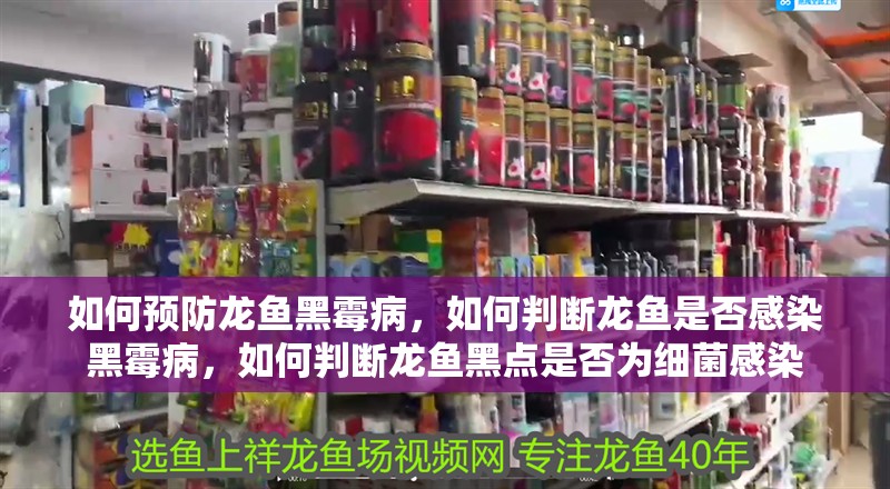 如何預防龍魚黑霉病，如何判斷龍魚是否感染黑霉病，如何判斷龍魚黑點是否為細菌感染