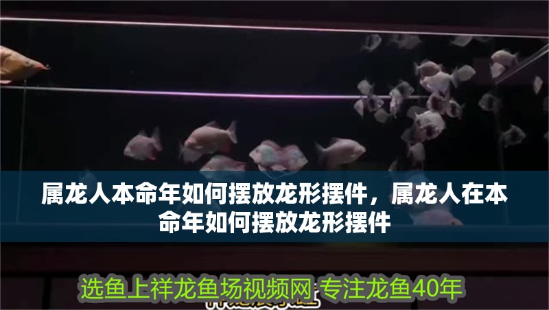 屬龍人本命年如何擺放龍形擺件，屬龍人在本命年如何擺放龍形擺件