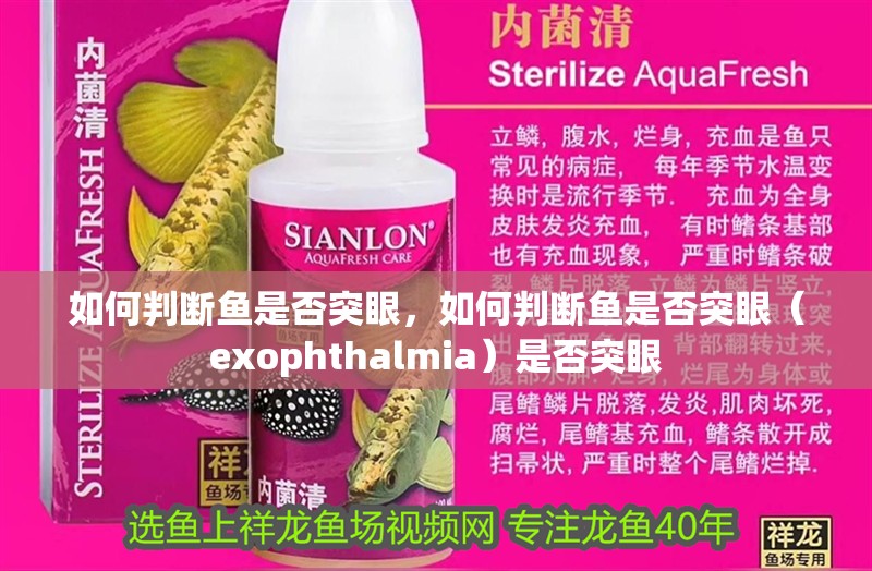 如何判斷魚是否突眼，如何判斷魚是否突眼（exophthalmia）是否突眼