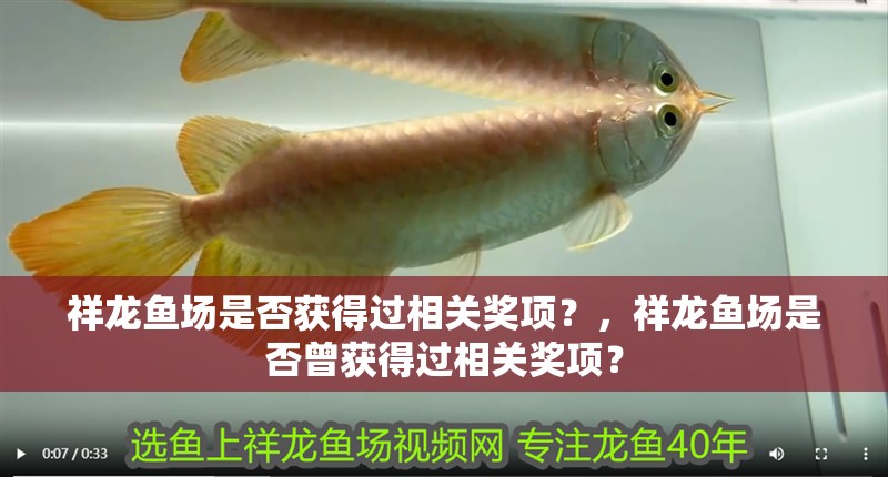 祥龍魚場是否獲得過相關獎項？，祥龍魚場是否曾獲得過相關獎項？