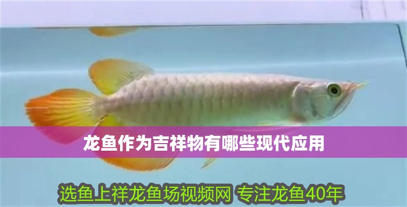 龍魚作為吉祥物有哪些現代應用 龍魚作為吉祥物有哪些現代應用 龍魚百科