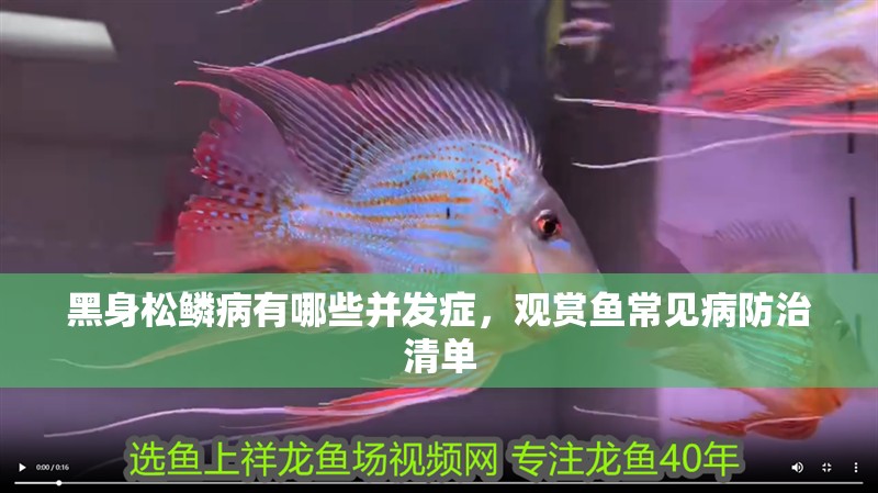 黑身松鱗病有哪些并發癥，觀賞魚常見病防治清單