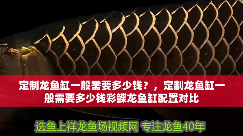 定制龍魚缸一般需要多少錢？，定制龍魚缸一般需要多少錢彩鰈龍魚缸配置對比