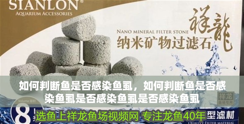 如何判斷魚是否感染魚虱，如何判斷魚是否感染魚虱是否感染魚虱是否感染魚虱 如何判斷魚是否感染魚虱，如何判斷魚是否感染魚虱是否感染魚虱是否感染魚虱 龍魚百科