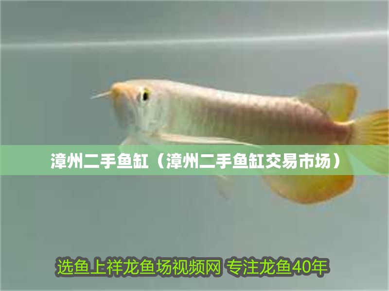 漳州二手魚缸（漳州二手魚缸交易市場）