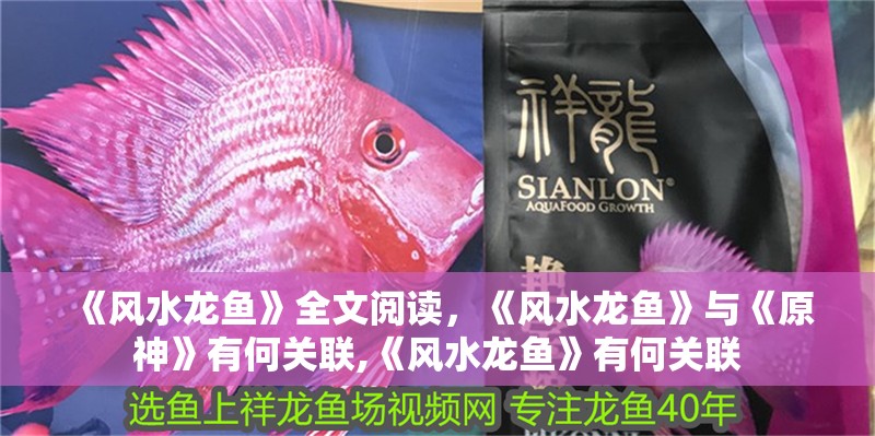 《風水龍魚》全文閱讀，《風水龍魚》與《原神》有何關聯(lián),《風水龍魚》有何關聯(lián)