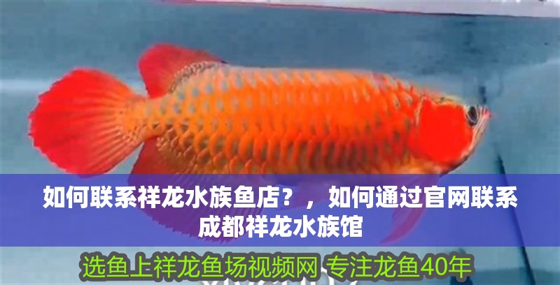 如何聯系祥龍水族魚店？，如何通過官網聯系成都祥龍水族館