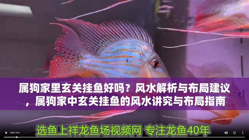 屬狗家里玄關掛魚好嗎？風水解析與布局建議，屬狗家中玄關掛魚的風水講究與布局指南