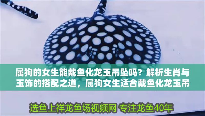 屬狗的女生能戴魚化龍玉吊墜嗎?解析生肖與玉飾的搭配之道,屬狗女生適合戴魚化龍玉吊墜嗎?生肖與玉飾搭配全解析 龍魚百科 第1張 屬狗的女生能戴魚化龍玉吊墜嗎?解析生肖與玉飾的搭配之道,屬狗女生適合戴魚化龍玉吊墜嗎?生肖與玉飾搭配全解析 屬狗的女生能戴魚化龍玉吊墜嗎?解析生肖與玉飾的搭配之道,屬狗女生適合戴魚化龍玉吊墜嗎?生肖與玉飾搭配全解析 龍魚百科 第1張