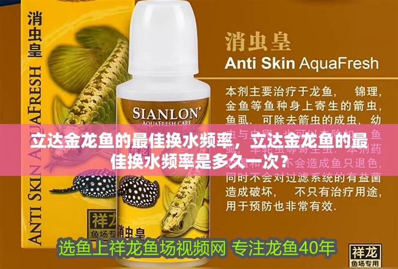 立達(dá)金龍魚的最佳換水頻率，立達(dá)金龍魚的最佳換水頻率是多久一次？